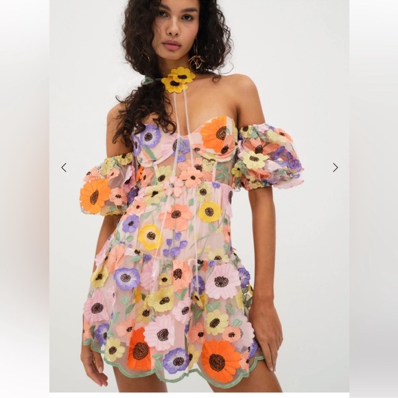 For Love & Lemons Floral Embroidered Sheer Mini Dress in Pastel Multi - Picture 4 of 11